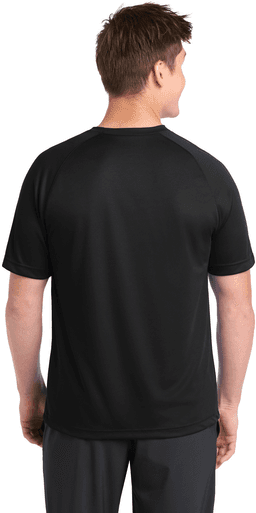 Back (Model)