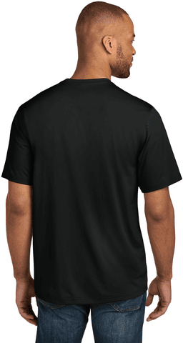 Back (Model)