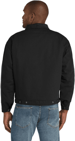 Back (Model)