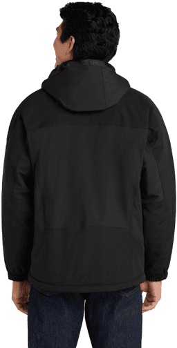 Back (Model)