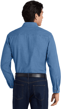 Back (Model)
