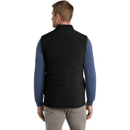 Back (Model)