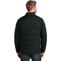 Back (Model)