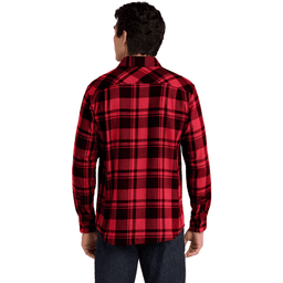 Back (Model)
