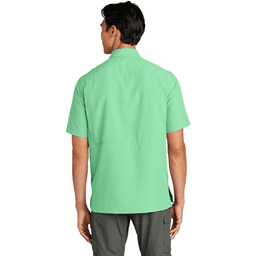 Back (Model)