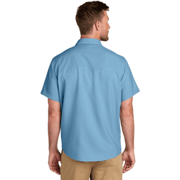 Back (Model)