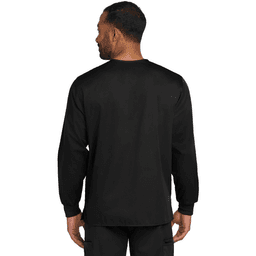 Back (Model)