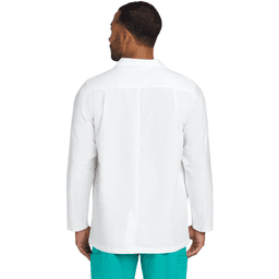 Back (Model)
