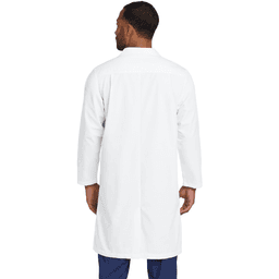 Back (Model)