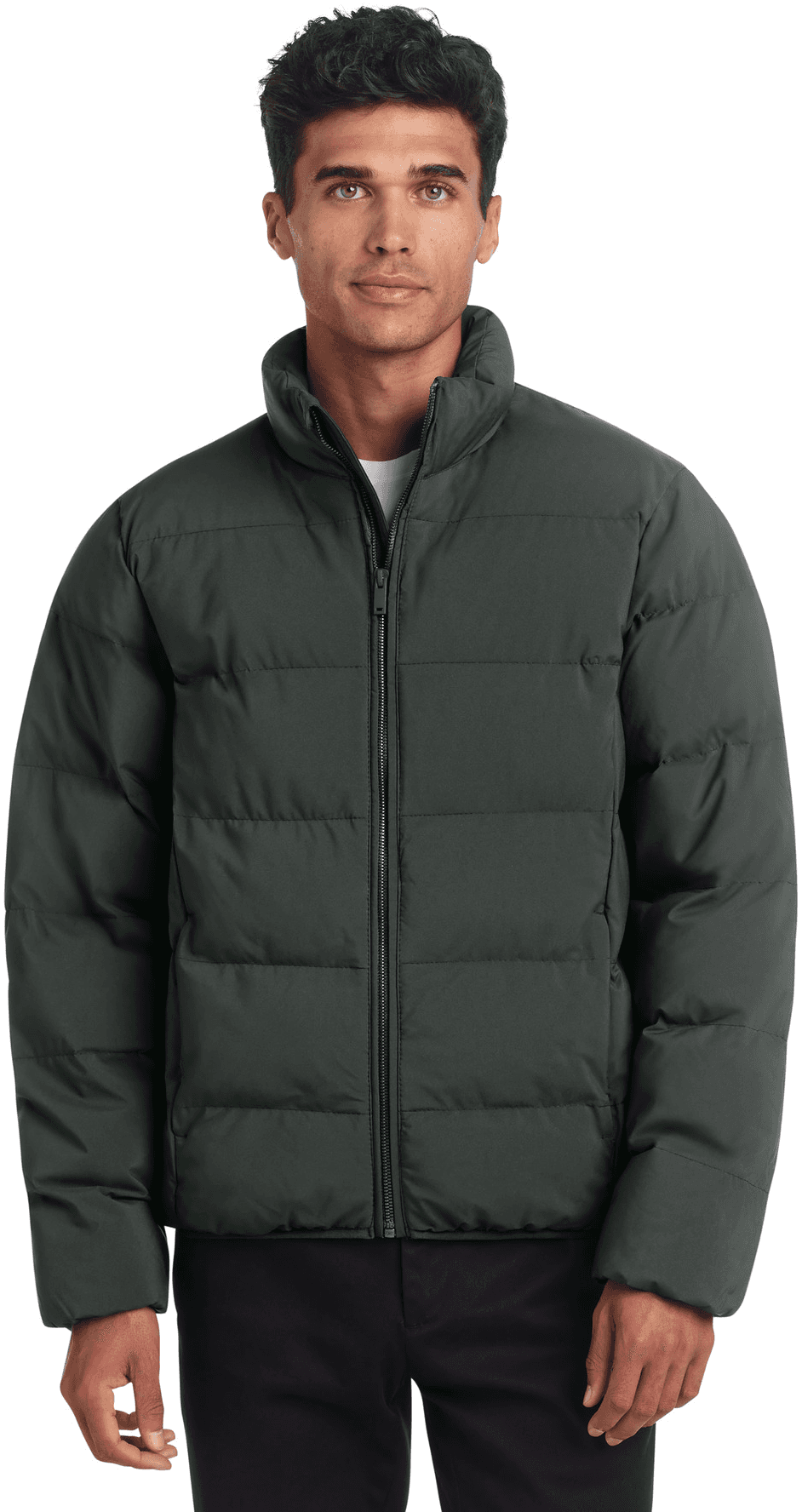 Puffy Jacket